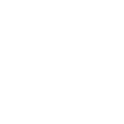 Document Review